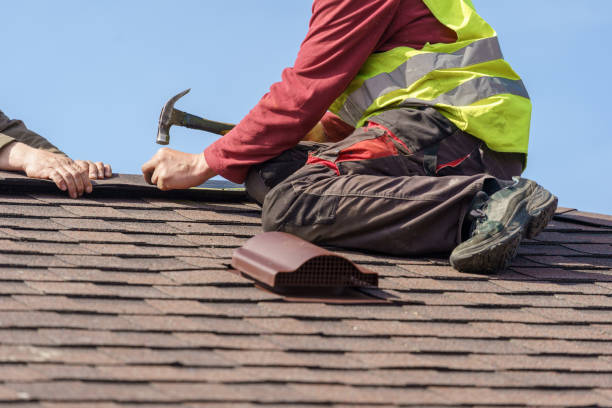 Best Roof Leak Repair  in Meridian, MS
