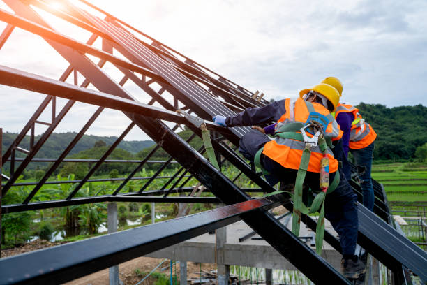 Best Roof Restoration Services  in Meridian, MS