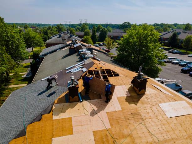 Quick and Trustworthy Emergency Roof Repair Services in Meridian, MS