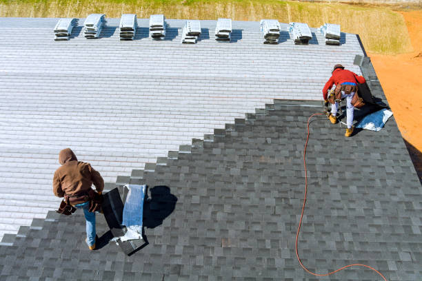 Best Flat Roof Repair Services  in Meridian, MS