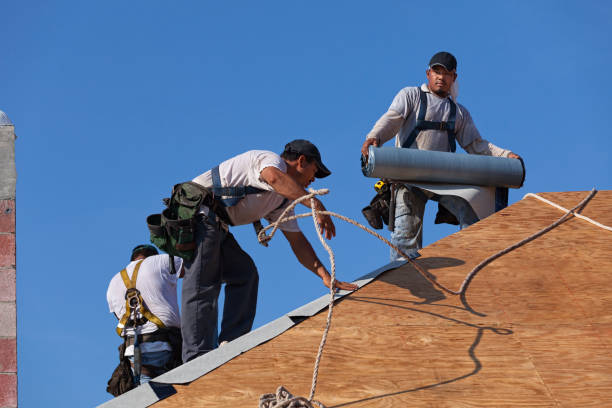 Best Roof Gutter Cleaning  in Meridian, MS