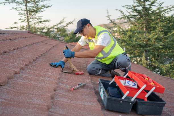 Professional Roofing Contractor in Meridian, MS