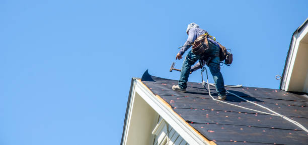 Best Shingle Roofing Installation  in Meridian, MS